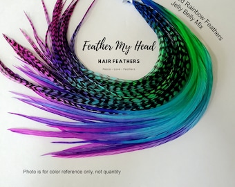 6 Feather Hair Extensions Multi Color Rainbow Ombe Tye Dye Long 9-12 In (23-28cm) Premium Grade - Jelly Belly - Grizzly / Solid