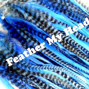 Feather Hair Extensions - Blue - Wide Accent Feathers - 7&quot;-11&quot; Long (17.78 cm - 27.94 cm)