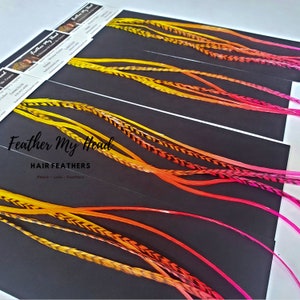May include: Four strands of ombre hair feathers in shades of yellow, orange, and pink. The feathers are arranged on a black surface with a business card that reads "Feather My Head Hair Feathers Peace Love Feathers".