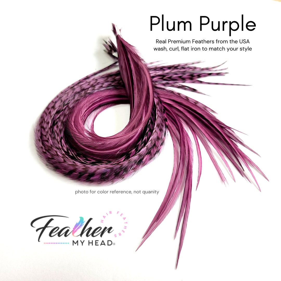Sugar and Spice Feather Hair Extensions . Mix of Plum Purple, Blue, and  Brown Feathers. Long Lengths and Hair Feather Kit Available
