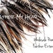 see more listings in the Bulk Hair Feathers section