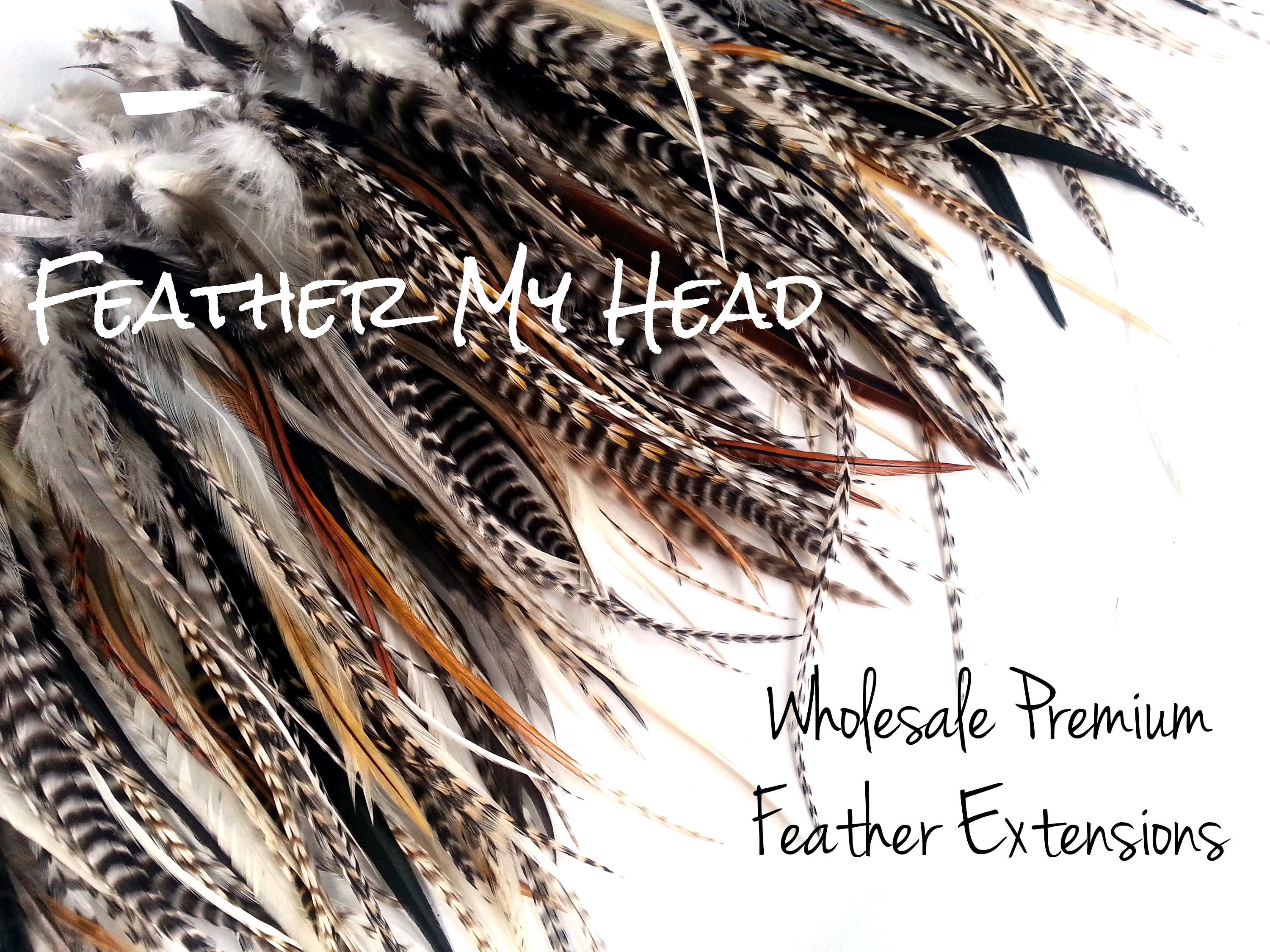 Hair Feathers, Short, Wide With Fluff at Top, Crafts, Fly Tying, Festival Accessory and Pets Too Natural Hues, Black, Brown, White, Gray - Etsy Hair Feathers, Short, Wide With Fluff at Top, Crafts, Fly Tying, Festival Accessory and Pets Too Natural Hues, Black, Brown, White, Gray - Etsy