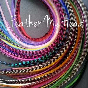 100 Wholesale Whiting Grizzly  Feather Extensions Salon Quality 9&quot;-12&quot; Long Bulk Discount