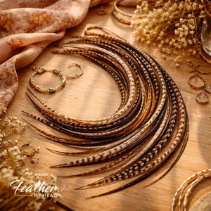 Natural Hair Feathers: Brown, Black, White Striped Salon Extensions - Set of 6