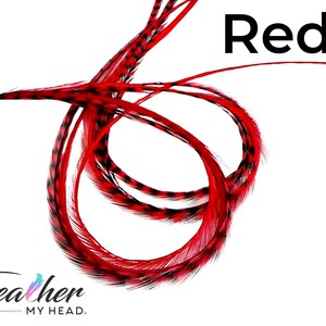 Red Hair Feather Extensions. (1) Feather, Long Lengths and Hair Feather Kit Available