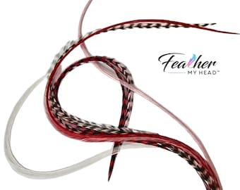 Feather Hair Extension Kit, 6 Real Hair Feathers, Pick Your Length up to 16 Inches  Long, Optional Installation Kit, Hugs and Kisses