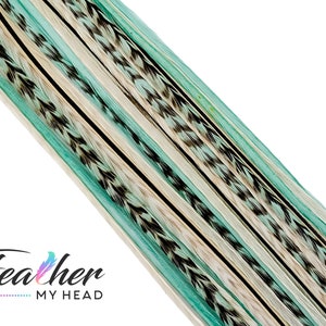 May include: A close-up of a set of teal, black, and white feathers. The feathers are arranged in rows and are ready to be used for crafting or decorating.