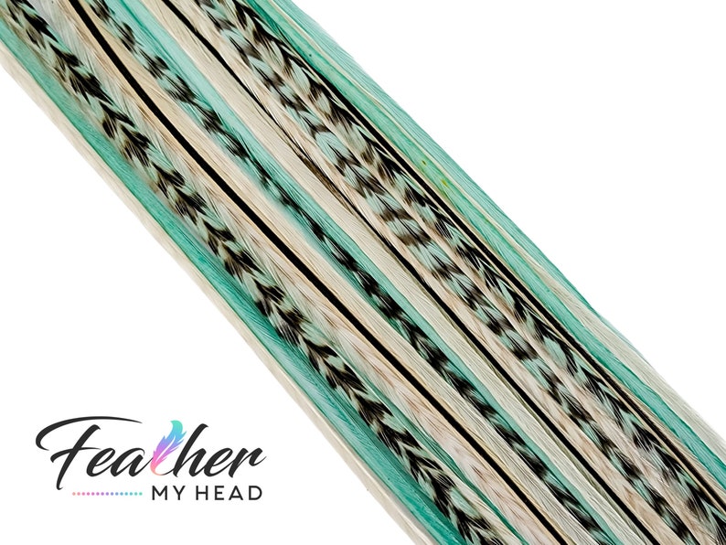 May include: A close-up of a set of teal, black, and white feathers. The feathers are arranged in rows and are ready to be used for crafting or decorating.