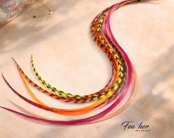 Hair Feathers Long Feather Hair Extensions - Orange Pink Yellow Coral - Real - Heat Safe - Festival Hair - USA Sourced Tequila Sunrise