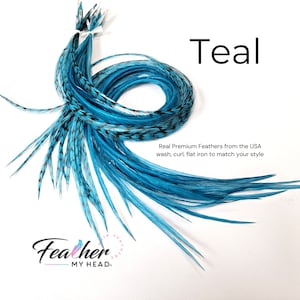 Teal  Blue Hair Feather Extensions. (1) Feather, Long Lengths and Hair Feather Kit Available