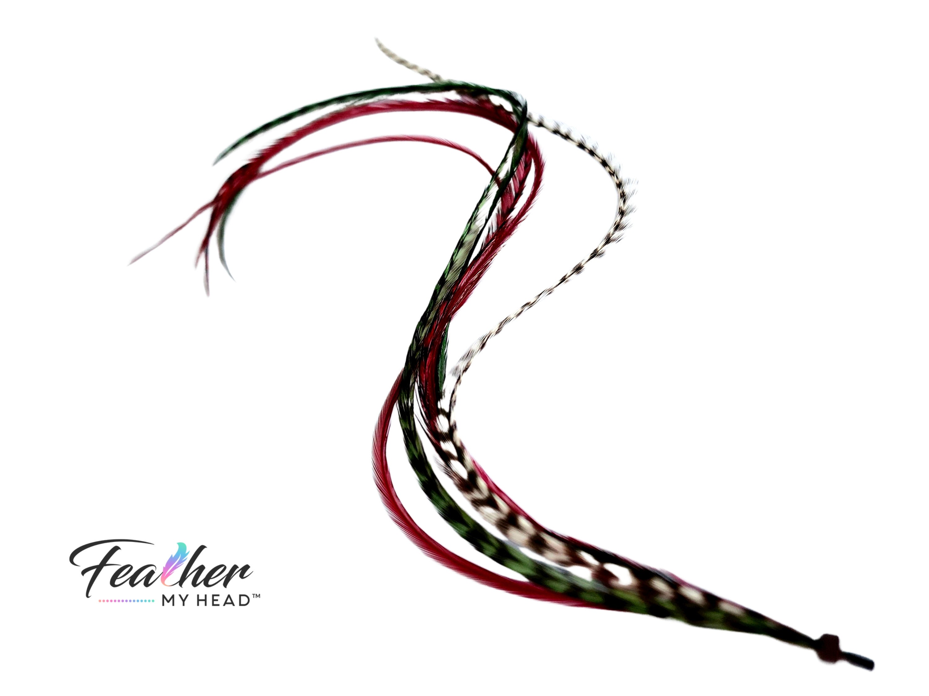Hair Feather Christmas Salon Starter Pack - Mistletoe and Holly - Red -  Green- White - Hair Feathers - Long Length 11 to 16 Inches - Feather My  Head Hair Feathers