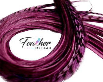 Plum Purple Hair Feather Kit with 6 Real Feathers in Long Long Lengths up to 16 Plus Inches Long