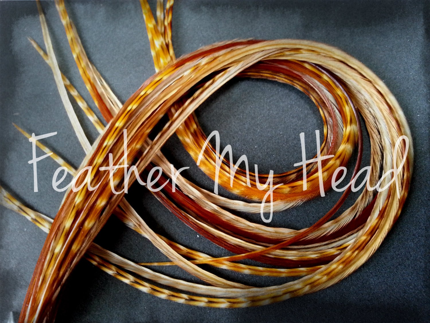 Extension Per Capelli Con Piume Lunghezza Media 7"-9" (18 Cm - 23 Cm) Grado Premium Scegli I Tuoi Colori - Leggi I Dettagli - Italia - Foto 4