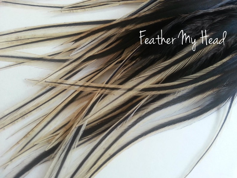 16 Feather Hair Extensions Natural BADGER Wide Feather Etsy