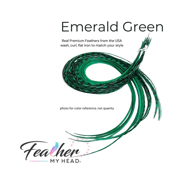 Emerald Green Hair Feather Extensions. (1) Feather, Long Lengths and Hair Feather Kit Available