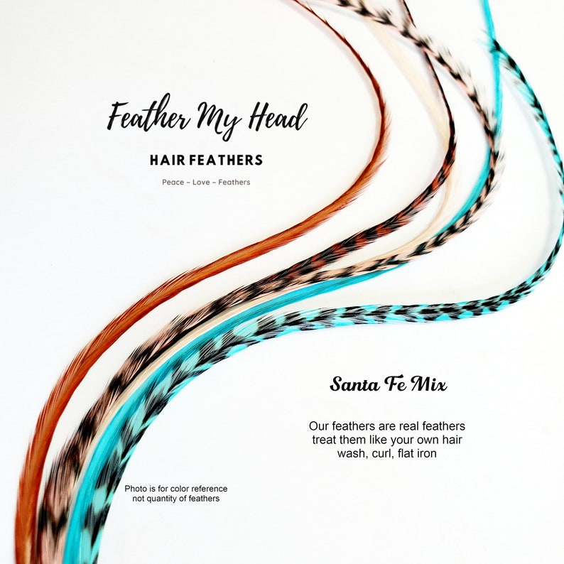 Feather Hair Extension Kit 6 Real Feathers Pick Your Length Etsy