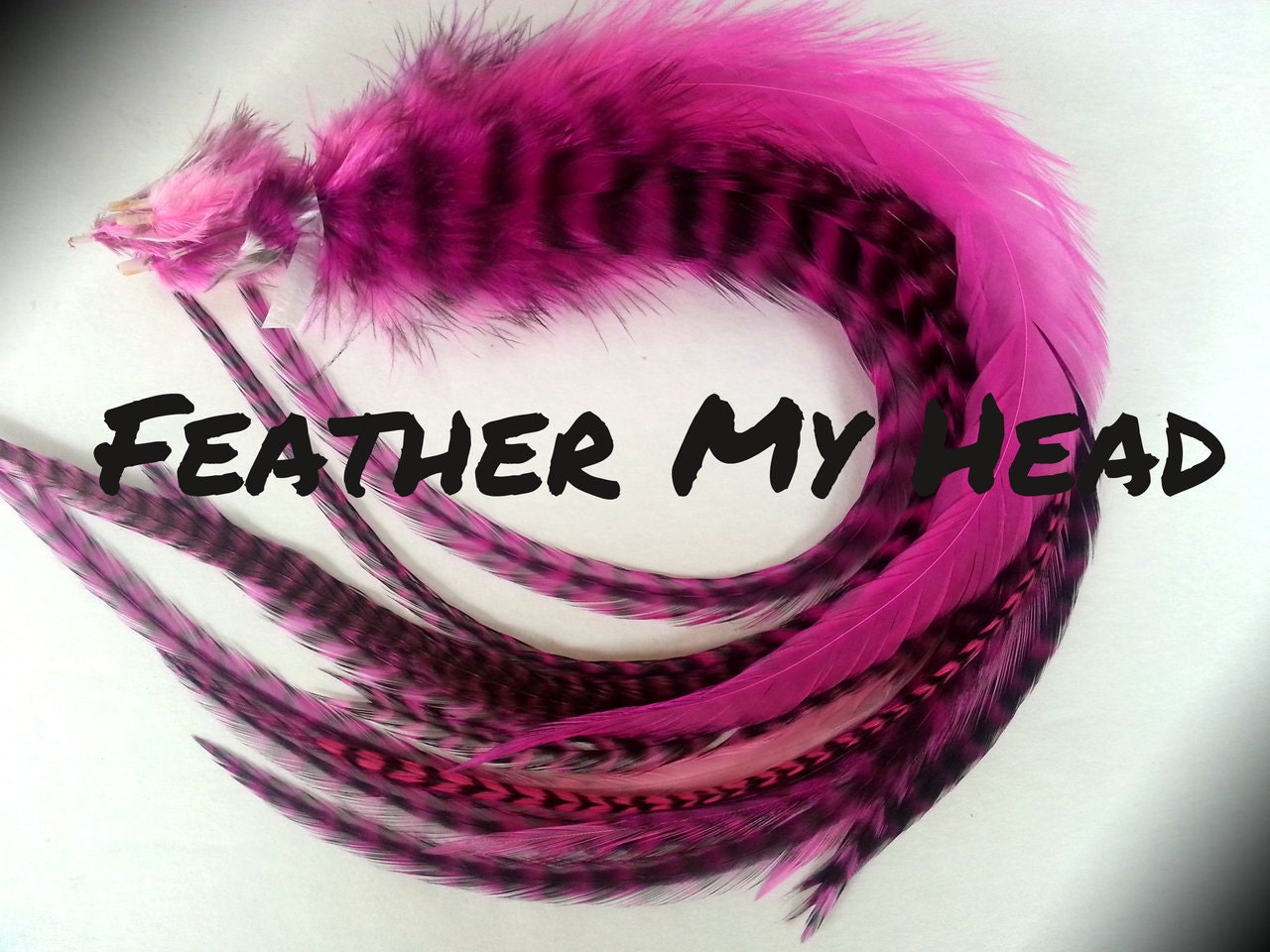 Hair Feather Extensions 6 Premium Hair Feathers Pick Your 