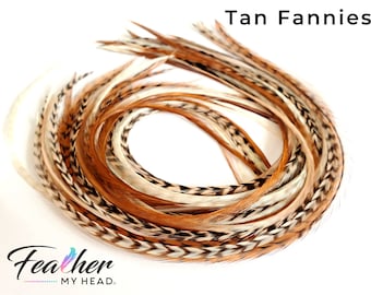 Hair Feathers, 16 Premium Grade Real Feather Hair Extensions, Pick Your Length up to 16 Inches Long, Brown and Cream Tones - Tan Fannies