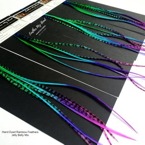 Feather Hair Extension Kit, (6) Multi Colored Rainbow - Pick Your Length Up to 16 Inches Long - Jelly Belly Mix