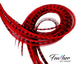 Red Hair Feather Extension Kit. 6 Real Feathers with Long Lengths Available