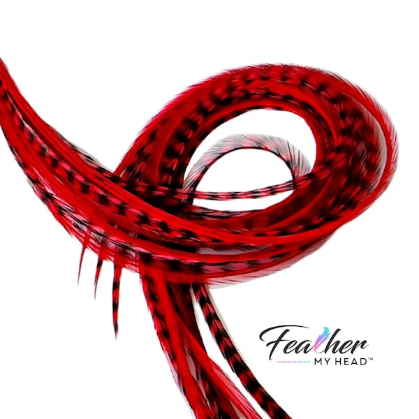 Red Hair Feather Extension Kit. 6 Real Feathers with Long Lengths Available