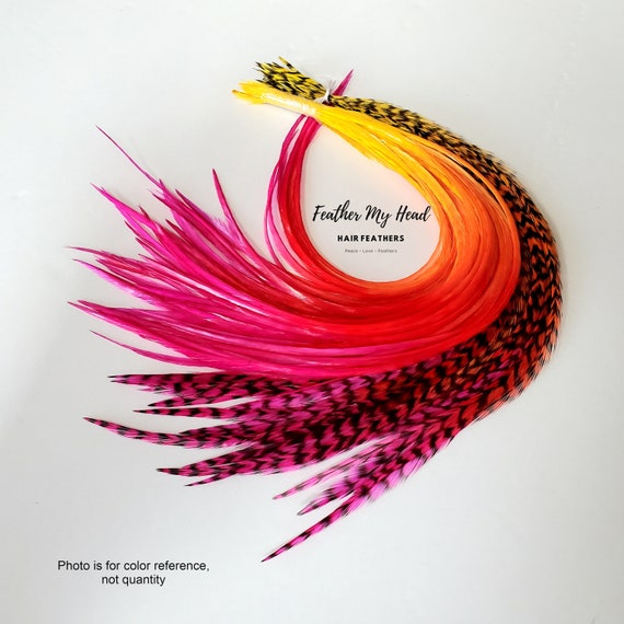 Red Feathers 28cm (Pack of 6), Arts and Crafts