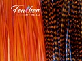 Hair Feather Extensions. (1) Single Feather Extension, Long Lengths and Hair Feather Kit Available - Sapphire Orange