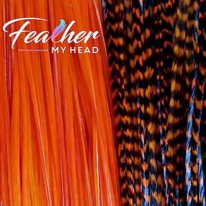 Hair Feather Extensions. (1) Single Feather Extension, Long Lengths and Hair Feather Kit Available - Sapphire Orange