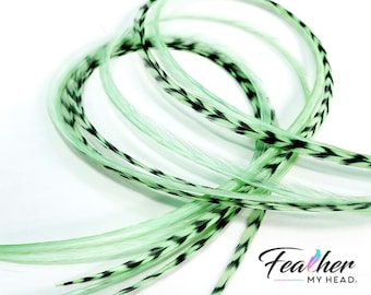 May include: Green and black feather hair extensions. The feathers are long and thin, with a black and white pattern. The feathers are arranged in a loose bundle.