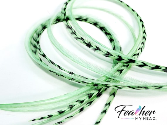 Light Pastel Green Hair Feather Extension, Grizzly or Solid, Long Length