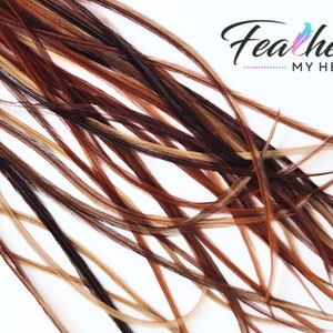 Natural Medium Brown Hair Feather Extensions, Pick Your Length Up to 16 Plus Inches Long, 6 Premium Hair Feathers With Optional Feather Kit