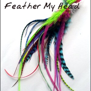 50 Pc Whiting Wide Feather Extensions With Fluff / Bright Grizzly Colors / 7 12 Inches Long image 3