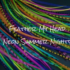 16 Pc DIY Kit Whiting Grizzly Feather Extensions  Long Hair Feathers 9-12 in (23-28cm) Neon Summer Nights