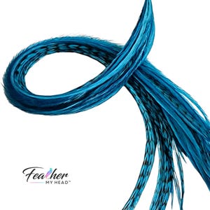 Haar Federn Teal Blue Erweiterung: Langer Hahn Federn Kit erhältlich