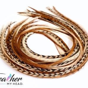 Hair Feathers -  6 Feather Extensions -  Pick Your Length with Long Feathers Available Over 16 Inches - Optional Feather Kit - Tan Fannies
