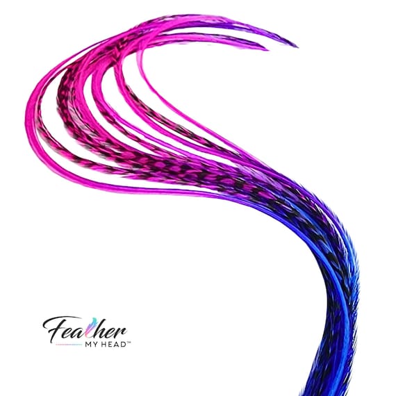 Electric Berry Fade Hair Feathers Premium Pink Purple Blue Ombre Feather Extensions Hand Dyed Rainbow Collection USA Made 10-14 inches Long
