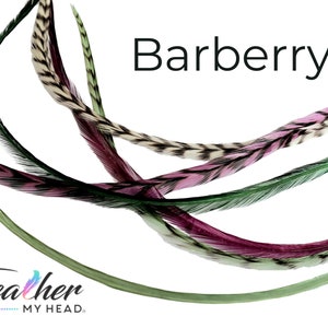 Hair Feather Extensions,  6 Real Feathers, Plum Purple, Sage Green, Natural Grizzly - Optional DIY Kit, Barberry Mix