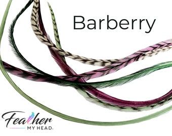 May include: Close-up of Barberry feathers in shades of green, pink, and burgundy against a white background. The feathers are arranged in a flowing, curved pattern. The text "Barberry" is displayed in black, along with the logo "Feather MY HEAD."