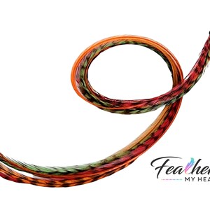 Hair Feathers - Pick Your Length 10&quot; to Over 16&quot;  Long - Real Feather Extensions Sourced USA - Fresh Fallen Leaves Collection - Extra Long