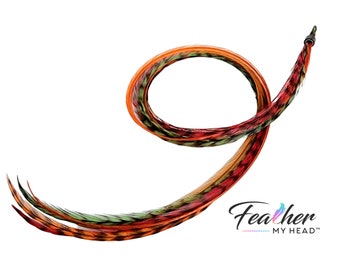 Plumas para el cabello - Elija su longitud de 25 cm a más de 40 cm - Extensiones de plumas reales de EE. UU. - Colección Fresh Fallen Leaves - Extra largas