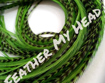 Extensión de cabello con plumas verdes kiwi: 9-12" Whiting Eurohackle (5 grizzly/5 sólido)