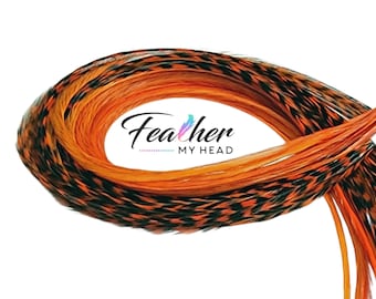 Sapphire Orange Hair Feather Extension: Long Rooster Feather