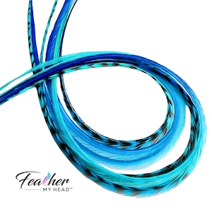 Hair Feathers - Feather Extension - Ombre Colors of Blue and Turquoise - Very Long Lengths Available, Create Your Own Pack - Tidal Wave