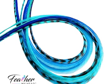 Hair Feathers - Feather Extension - Ombre Colors of Blue and Turquoise - Very Long Lengths Available, Create Your Own Pack - Tidal Wave