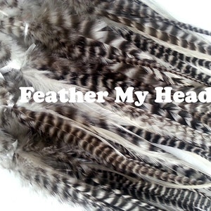 Grizzly Feathers - Wholesale Natural & Dyed Supplies