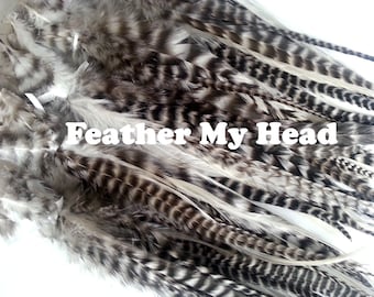 Feather Hair Extensions - Black And White Natural Grizzly - Wide Accent Feathers - 7"-11" Long (17.78 cm - 27.94 cm)