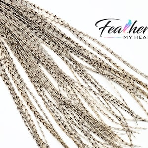 Brown - White Dun Grizzly Hair Feather Extensions, Pick Your Length Up to 16 Plus Inches Long, 6 Hair Feathers - Optional Feather Kit