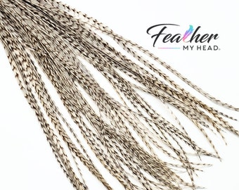 Brown - White Dun Grizzly Hair Feather Extensions, Pick Your Length Up to 16 Plus Inches Long, 6 Hair Feathers - Optional Feather Kit