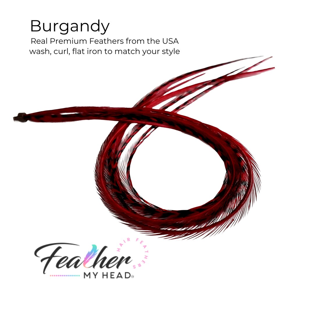 Feather Hair Extension Kit, 6 Real Feathers, Optional DIY Kit, Pick