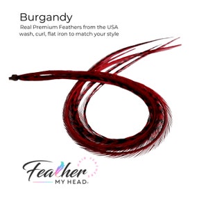 Feather Hair Extension Kit, 6 Real Feathers, Optional DIY Kit, Pick Length Short to 16&quot; Long, (6) Burgundy